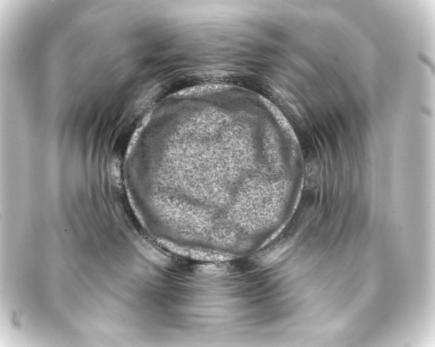 X0000093170238200710241046