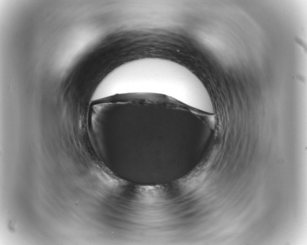 X0000093170239200710241046