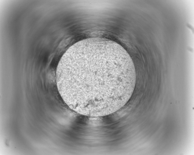 X0000093170240200710241046