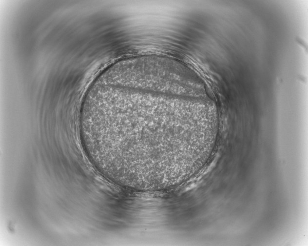 X0000093170241200710241045