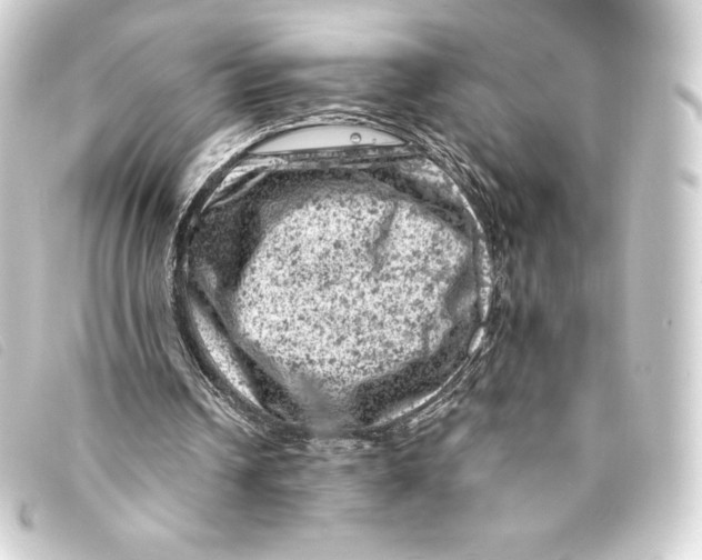 X0000093170242200710241045