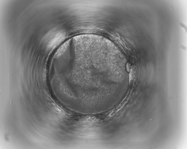 X0000093170243200710241045