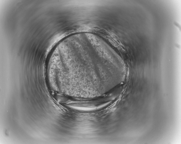 X0000093170244200710241045