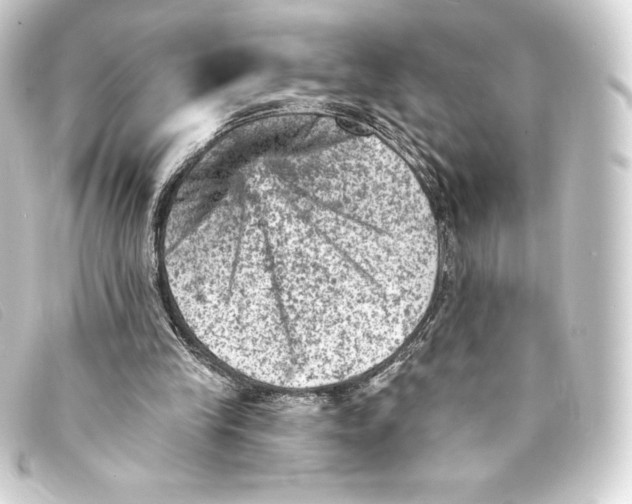 X0000093170245200710241045