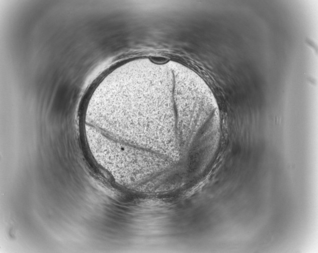 X0000093170246200710241045