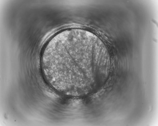 X0000093170247200710241045