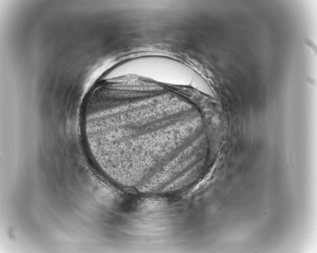 X0000093170248200710241045