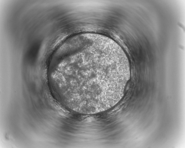 X0000093170249200710241045