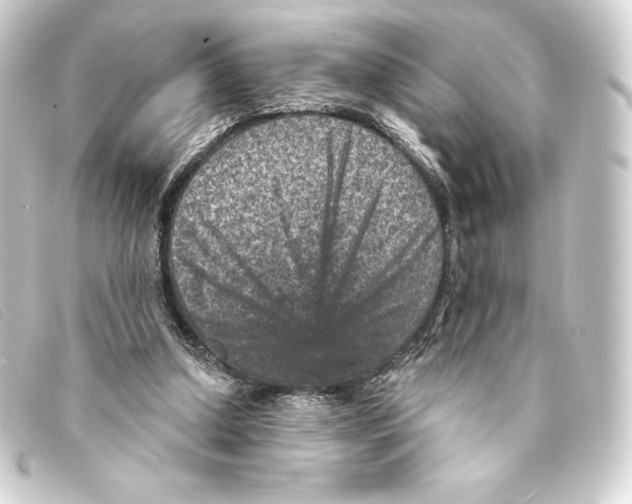 X0000093170250200710241045