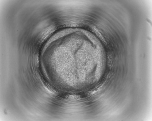 X0000093170251200710241045