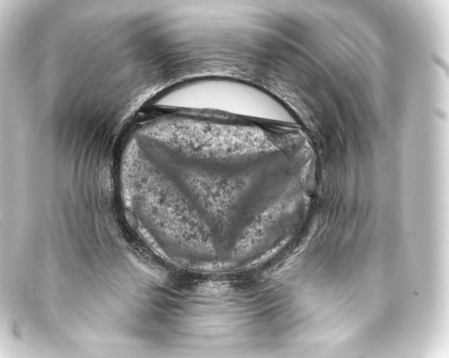 X0000093170252200710241045