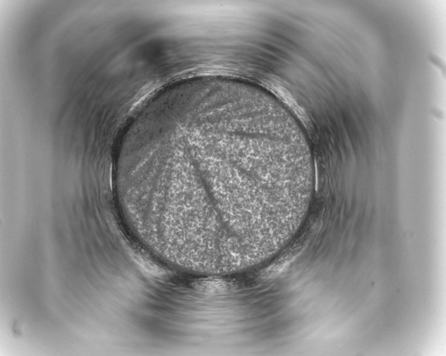 X0000093170253200710241045