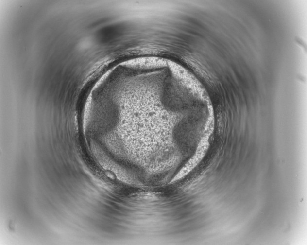 X0000093170254200710241045