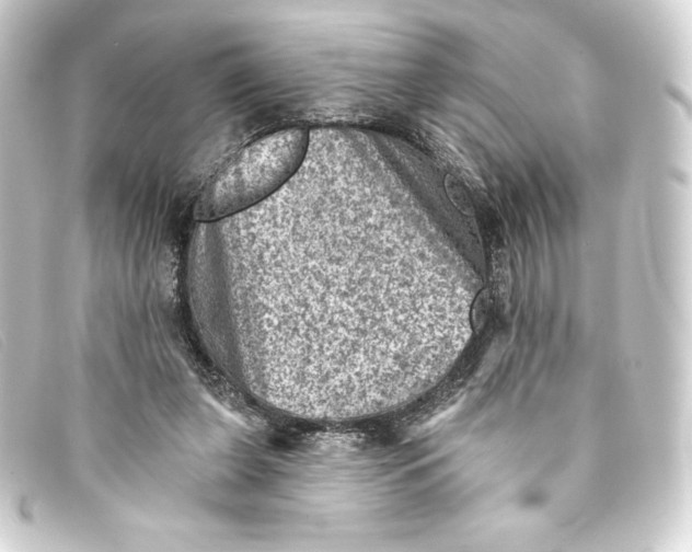 X0000093170255200710241045