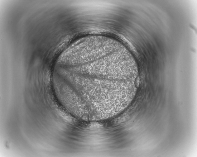 X0000093170257200710241045