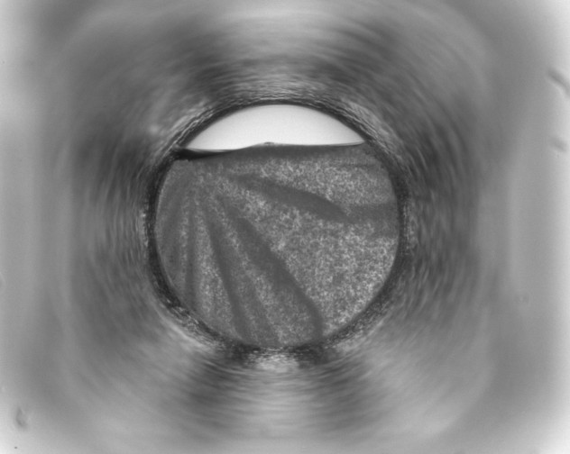 X0000093170258200710241045