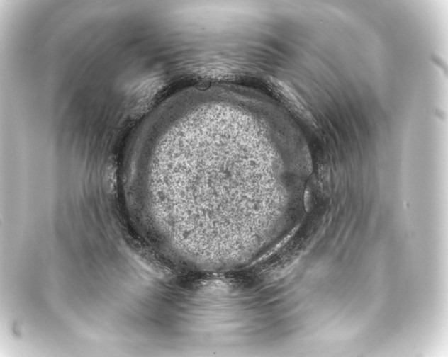 X0000093170259200710241045