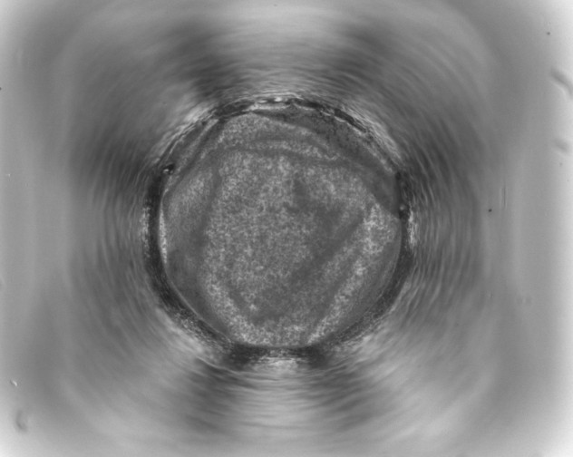 X0000093170260200710241045