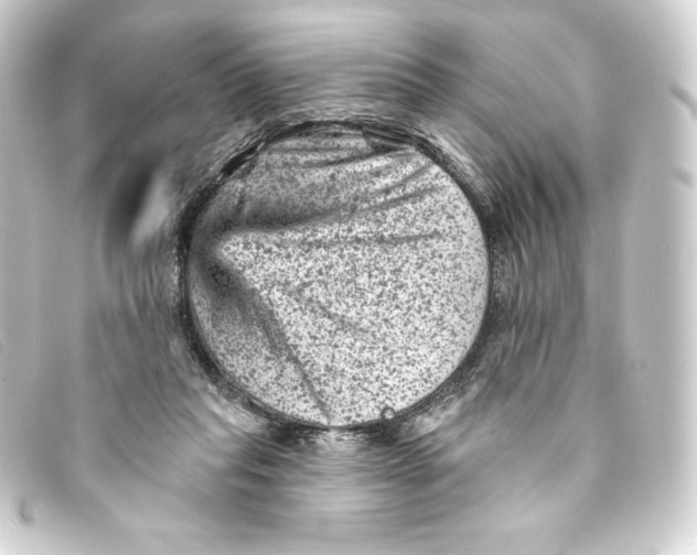 X0000093170261200710241045