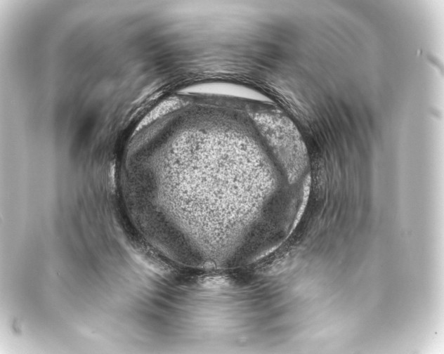 X0000093170262200710241045