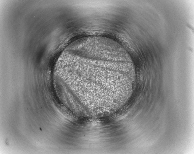 X0000093170263200710241045