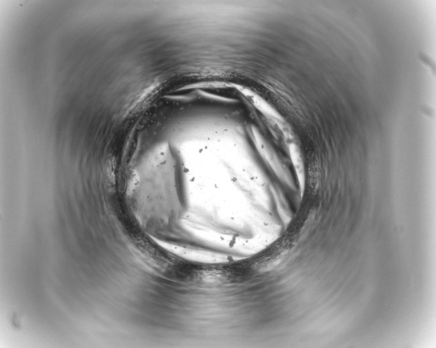 X0000093170264200710241045