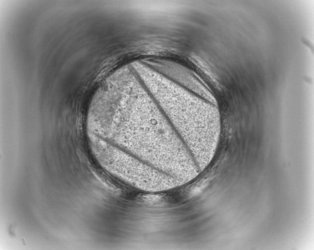 X0000093170265200710241045