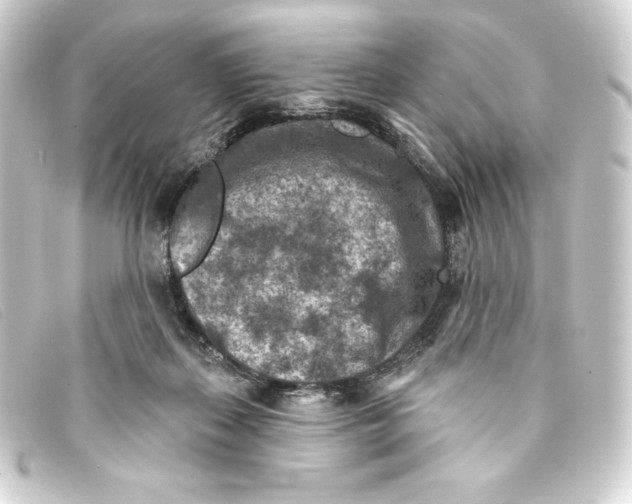 X0000093170267200710241045