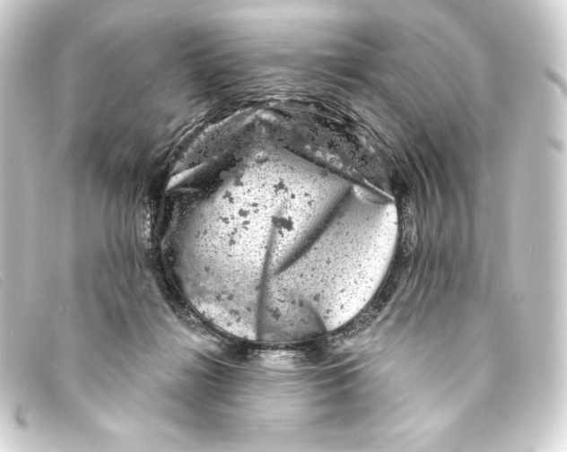 X0000093170268200710241046