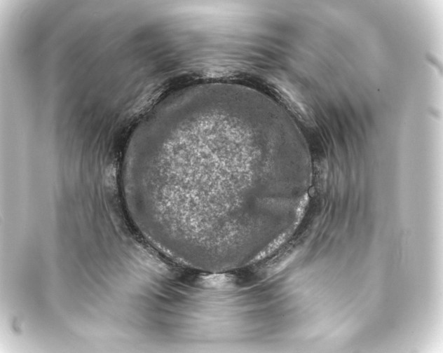 X0000093170269200710241046