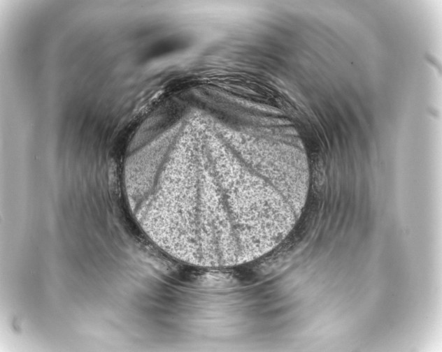 X0000093170270200710241046