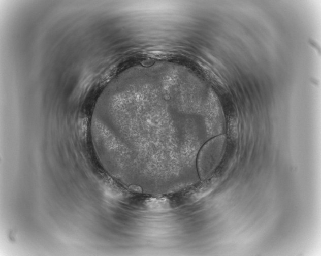 X0000093170271200710241046