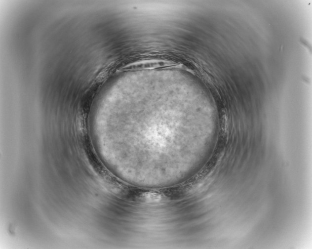 X0000093170272200710241046