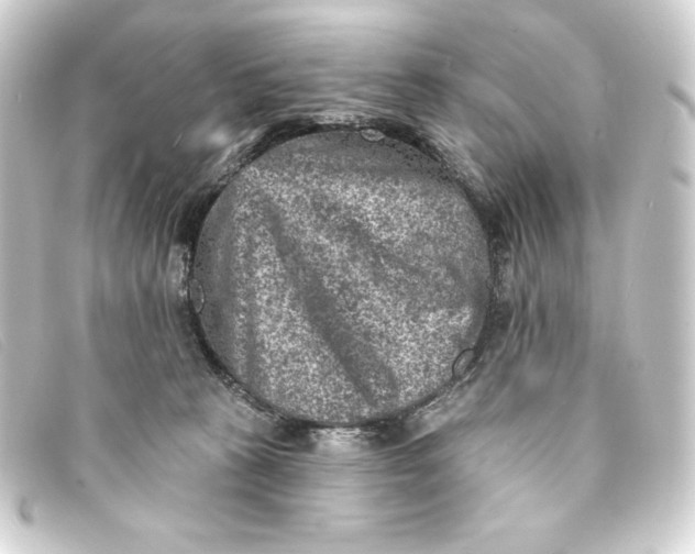 X0000093170273200710241046