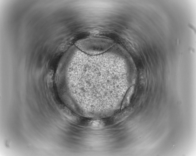 X0000093170275200710241046