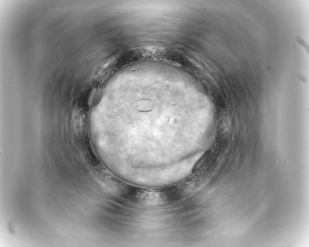 X0000093170276200710241046