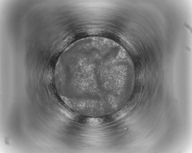 X0000093170277200710241046