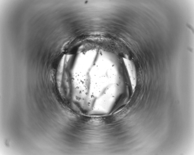 X0000093170280200710241046