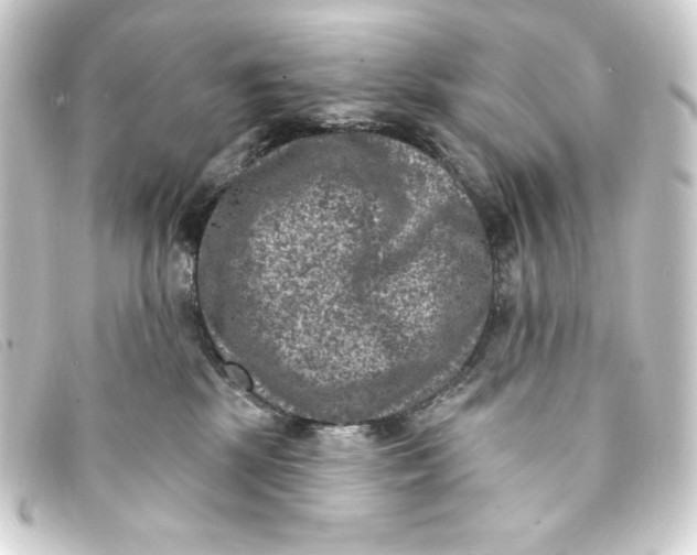 X0000093170281200710241046