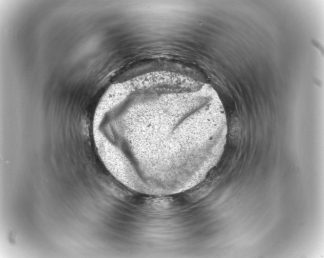 X0000093170282200710241046