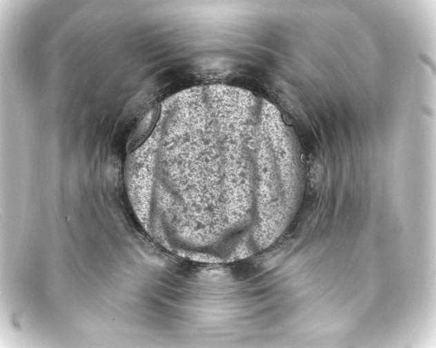 X0000093170283200710241046