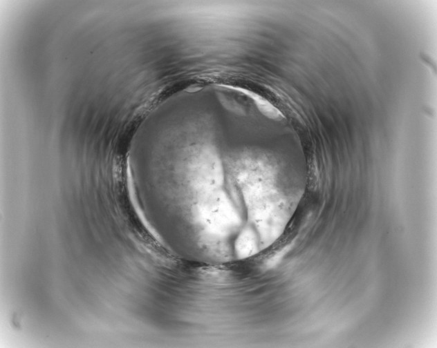 X0000093170284200710241046