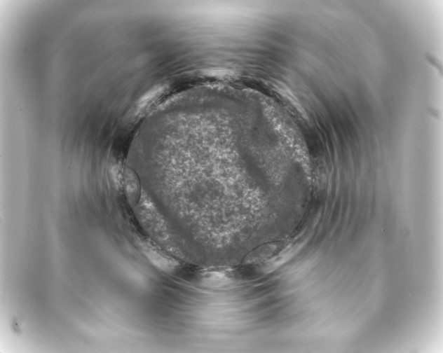 X0000093170285200710241046