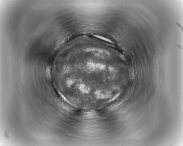 X0000093170286200710241046