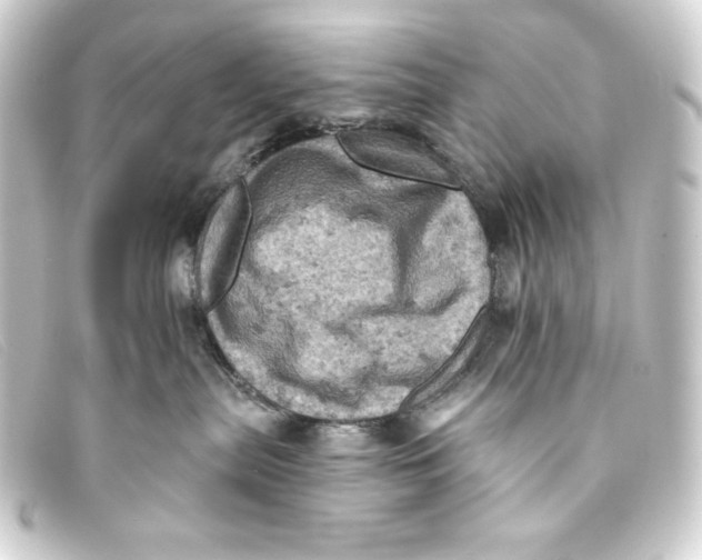 X0000093170287200710241046