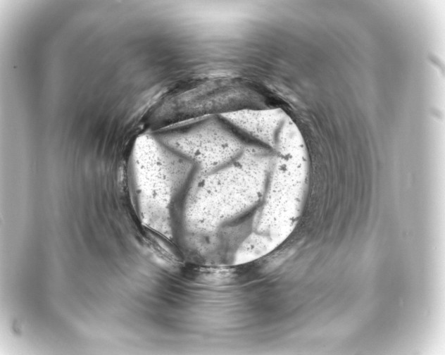 X0000093170288200710241046