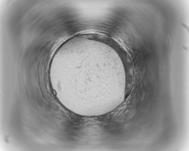 X0000093170289200710241045