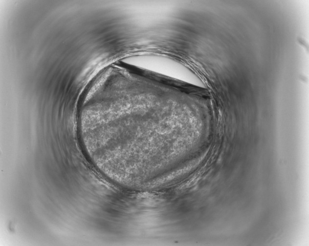 X0000093170290200710241045