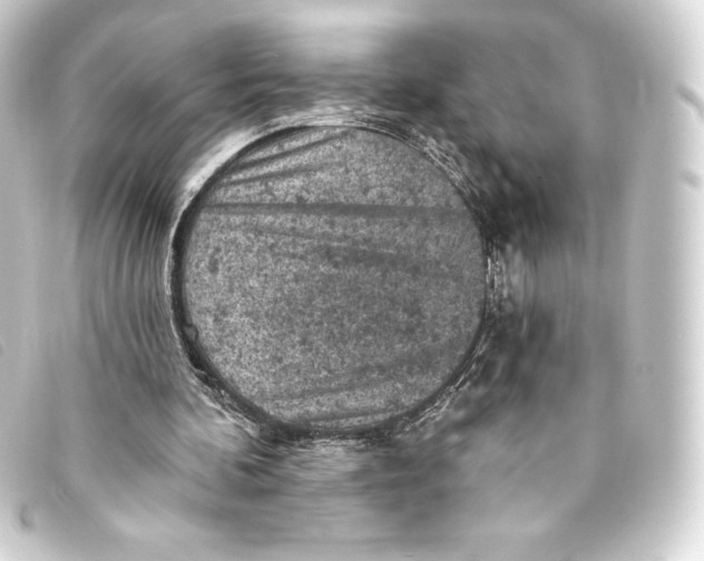 X0000093170292200710241045