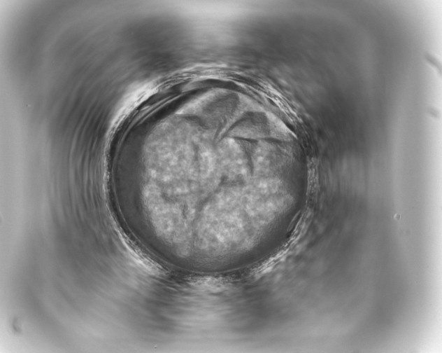 X0000093170293200710241045